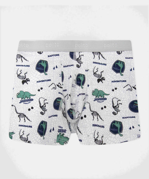 Paquete De Bóxer X3 Para Niño En Microfibra Color Verde Blanco Y Negro