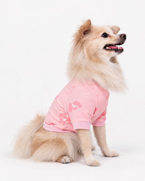 Pijama Para Perro